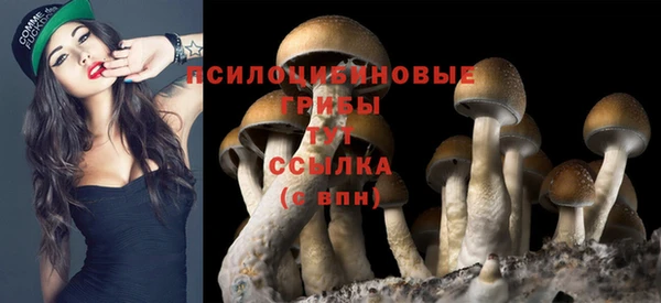 меф Горнозаводск