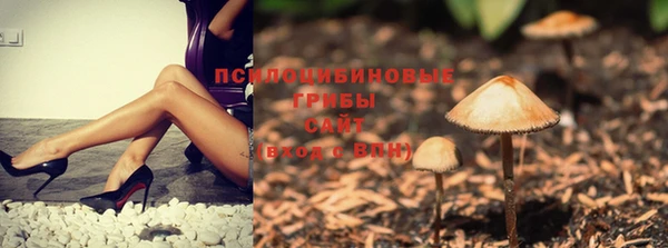 бошки Заводоуковск