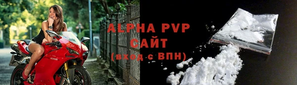 сатива Горняк