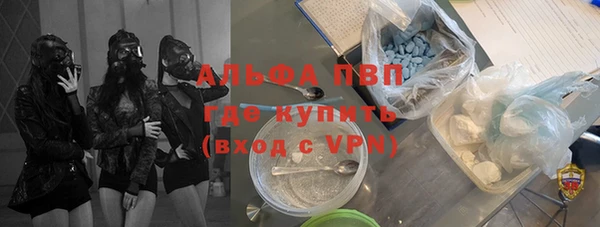 сатива Горняк