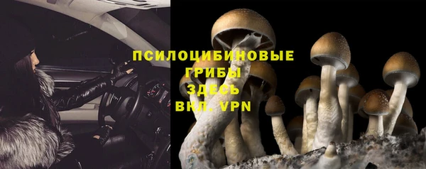 меф Горнозаводск