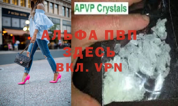 сатива Горняк
