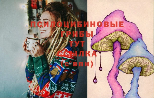 сатива Горняк