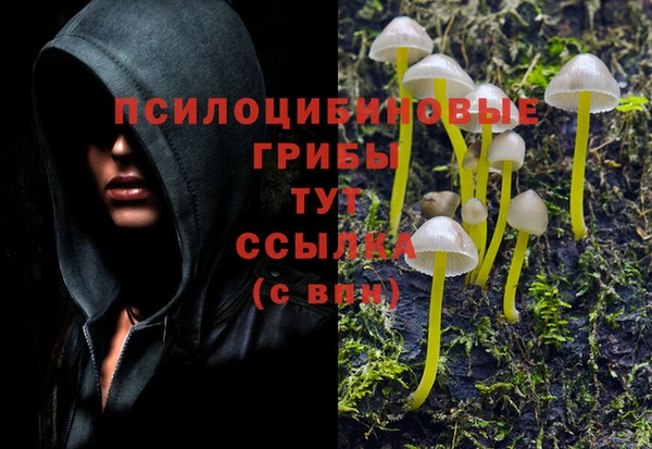 меф Горнозаводск