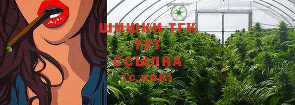 сатива Горняк
