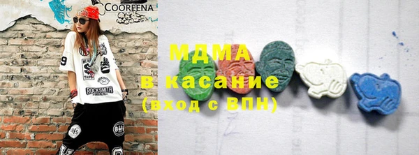 сатива Горняк