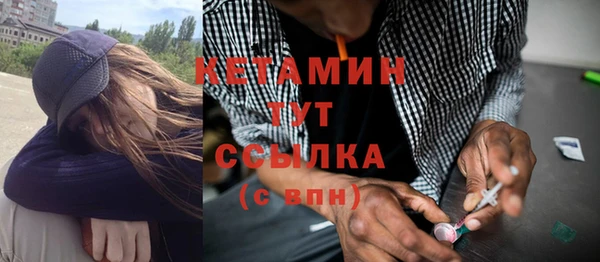 сатива Горняк