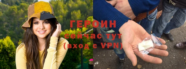сатива Горняк