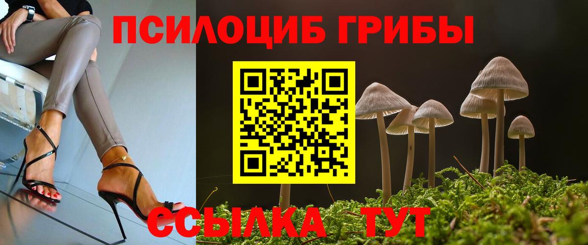 Галлюциногенные грибы Cubensis  Вход с VPN  Кимры 